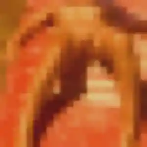 Marie, 26 ans, dispo pour rencontre plan cul à Roquevaire