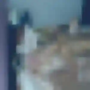 Profil de Adelaide à Rosny-sur-Seine (43 ans) - rencontre plan cul gratuit