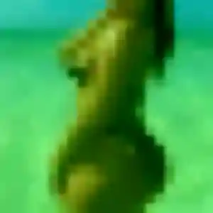 Laurence, 42 ans, connectée à Saint-Arnoult-en-Yvelines pour une rencontre coquine