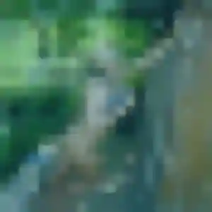 Celine de Saint-Cyr-au-Mont-d'Or, 31 ans - rencontre plan cul en toute liberté