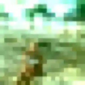 rencontre plan cul à Saint-Cyr-l'École : profil de Henriette, 39 ans - inscription gratuite