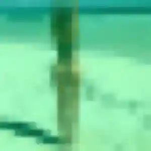 Profil de Louna à Saint-Cyr-sur-Loire (28 ans) - rencontre plan cul gratuit