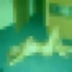 Photo de Estelle à Saint-Étienne-au-Mont (35 ans) - rencontre plan cul discret