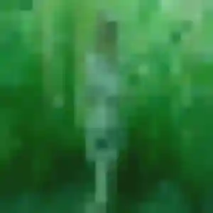 Tania, fille de 39 ans propose rencontre plan cul à Saint-Genis-Laval