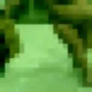 Photo perso de Mila, 36 ans à Saint-Genis-les-Ollières - plan discret