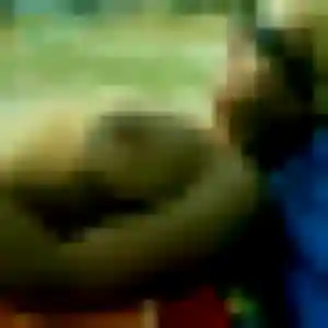 Photo exclusive de Idalina, 26 ans à Saint-Hilaire-du-Harcouët - rencontre coquine