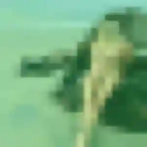 Honorine, fille de 33 ans veut rencontre plan cul à Saint-Jean-Bonnefonds