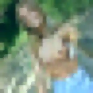 Rencontre Nolwenn, 21 ans à Saint-Louis en privé