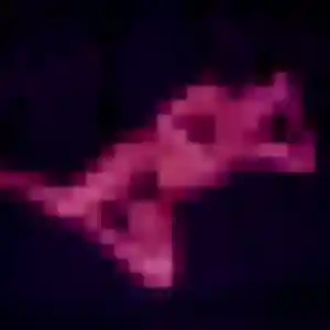 Photo perso de Rosemarie, 40 ans à Saint-Louis - rencontre sans lendemain