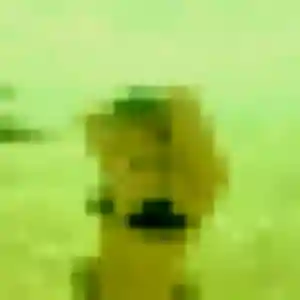 Photo sexy de Theresa, 41 ans à Saint-Louis - rencontre sans lendemain
