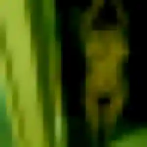 Lisa, fille de 34 ans veut rencontre plan cul à Saint-Louis