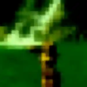 rencontre plan cul à Saint-Lyphard : profil de Solange, 29 ans - inscription gratuite