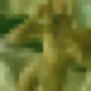 rencontre plan cul à Saint-Lyphard : photo de Victoire, 22 ans - sans engagement