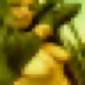 Belle Domitille, 35 ans à Saint-Mandé - voir sa photo