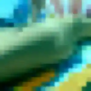 Belle Elvire, 23 ans à Saint-Mandrier-sur-Mer - la contacter