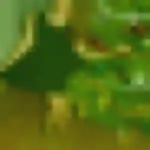 Photo sexy de Flavia, 44 ans à Saint-Marcel - plan discret