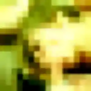 Belle Ursule, 33 ans à Saint-Max - voir sa photo