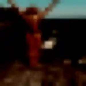 Photo perso de Thais, 37 ans à Saint-Maximin-la-Sainte-Baume - plan discret