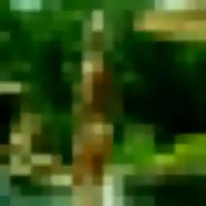 Rejoins Katia, 34 ans à Saint-Memmie gratuitement