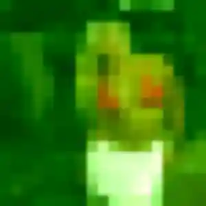 rencontre plan cul à Saint-Nazaire : photo de Wahiba, 38 ans - sans engagement