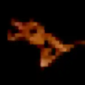 Benedicte (22 ans) à Saint-Paul attend une rencontre maintenant