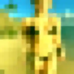 Rachel, 29 ans, disponible à Saint-Paul-Trois-Châteaux pour un rencontre plan cul