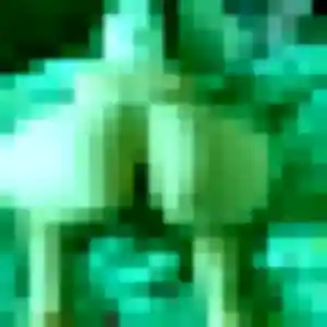 Rencontre Khadija, 32 ans à Saint-Pierre-en-Auge en t'inscrivant