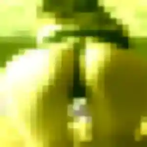 rencontre plan cul à Saint-Rémy : profil de Johanna, 29 ans - inscription gratuite