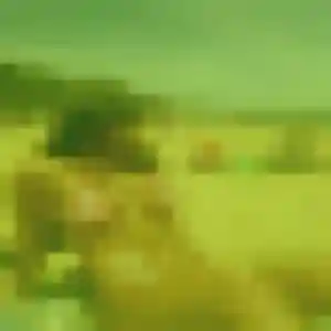 Charmante Alexandra, 24 ans à Saint-Sébastien-sur-Loire - voir sa photo