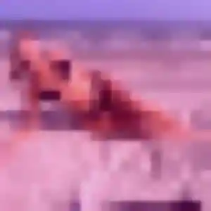 Pascale, 39 ans, en ligne à Sainte-Adresse pour un rencontre plan cul