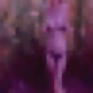 Charmante Rym, 38 ans à Sainte-Foy-lès-Lyon - découvrir son profil