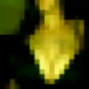 Sibylle de Sainte-Rose, 35 ans - rencontre plan cul sans prise de tête