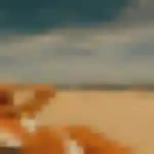 Profil de Yael à Salon-de-Provence (32 ans) - rencontre plan cul gratuit