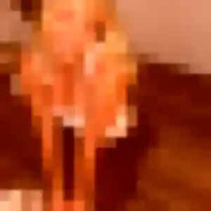 Jolie Olivia, 22 ans à Sathonay-Camp - découvrir son profil