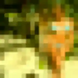 Rejoins Charline, 40 ans à Sceaux en t'inscrivant