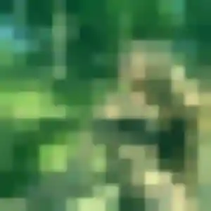 Rejoins Renee, 34 ans à Séné gratuitement