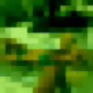 rencontre plan cul à Septèmes-les-Vallons : photo de Lisa, 24 ans - inscription gratuite