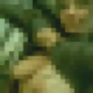 Johanna de Sèvremoine, 36 ans - rencontre plan cul sans lendemain