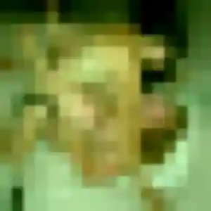 Priscilla, 23 ans, en ligne à Sèvremoine pour un rencontre plan cul