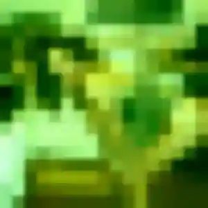 Sexy Touria, 40 ans à Sotteville-lès-Rouen - découvrir son profil