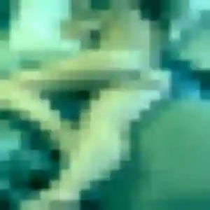 Photo de Anne-Marie à Talant (21 ans) - rencontre plan cul anonyme