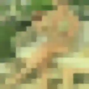 Solene de Templeuve-en-Pévèle, 43 ans - rencontre plan cul en toute liberté