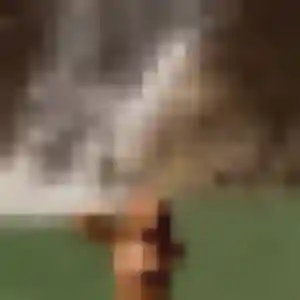 Ava, 22 ans, cherche un rencontre plan cul à Thionville