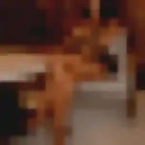 Rania, 35 ans, dispo pour rencontre plan cul à Thorigny-sur-Marne