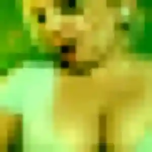 Jolie Rosemarie, 26 ans à Thouaré-sur-Loire - voir sa photo