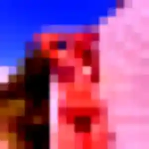 Photo exclusive de Verane, 40 ans à Thouaré-sur-Loire - rencontre coquine