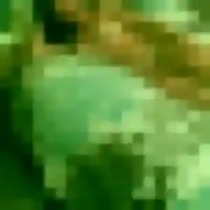 Découvre Ophelie, 33 ans à Toulon en privé