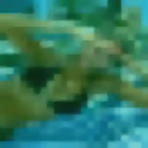 Alessandra, 37 ans, cherche un rencontre plan cul à Tourcoing