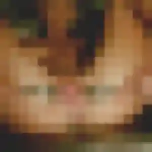 Rejoins Marie-Pierre, 28 ans à Tournon-sur-Rhône gratuitement