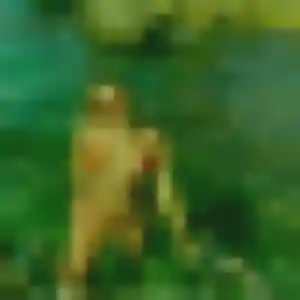 Nina (38 ans) à Tourves propose une rencontre ce soir